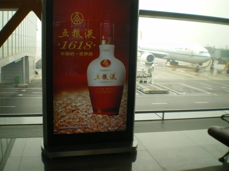 IMGP1657 [800x600].webp