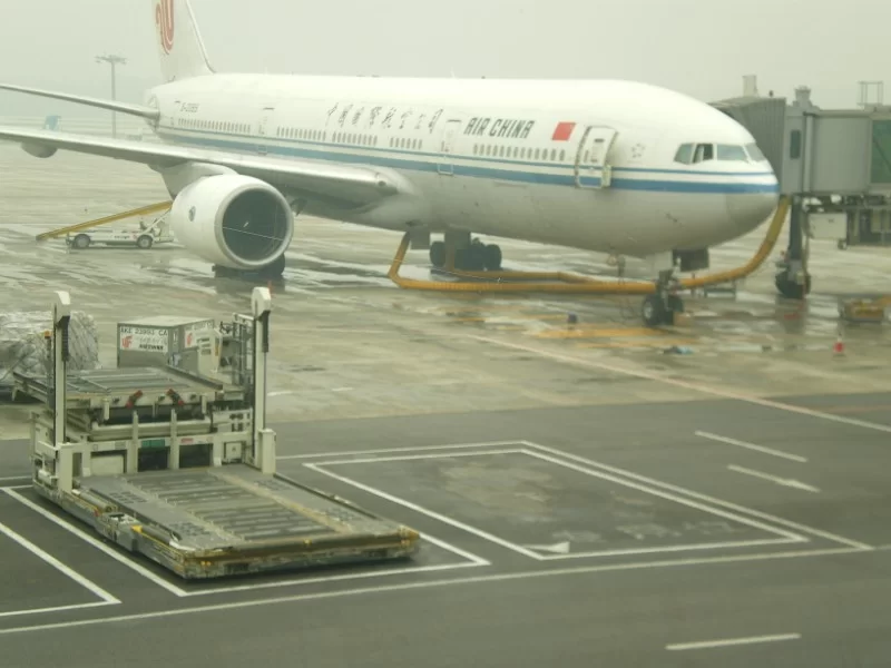 IMGP1659 [800x600].webp