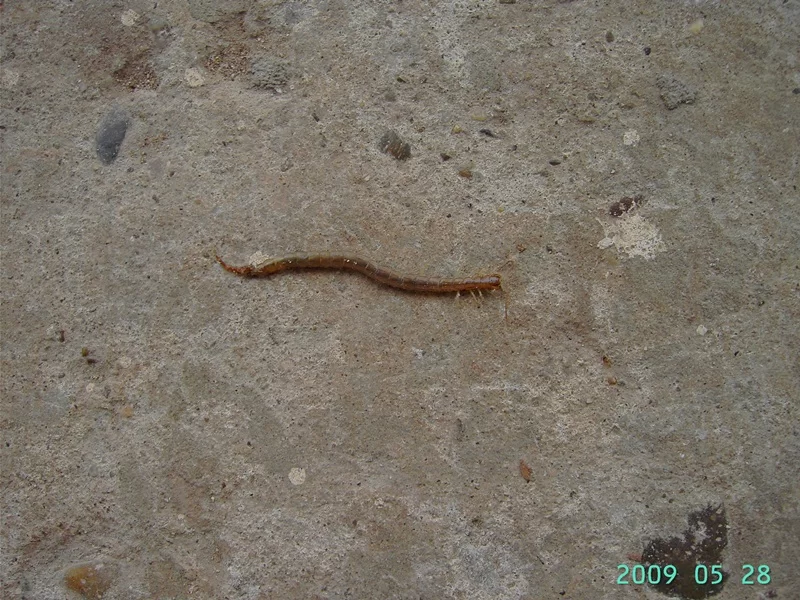 Imported Photos 00340.webp