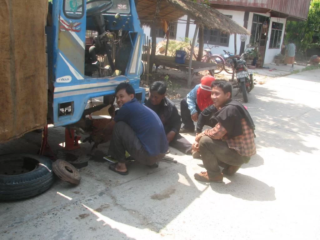 insekt, limofirma 006.webp