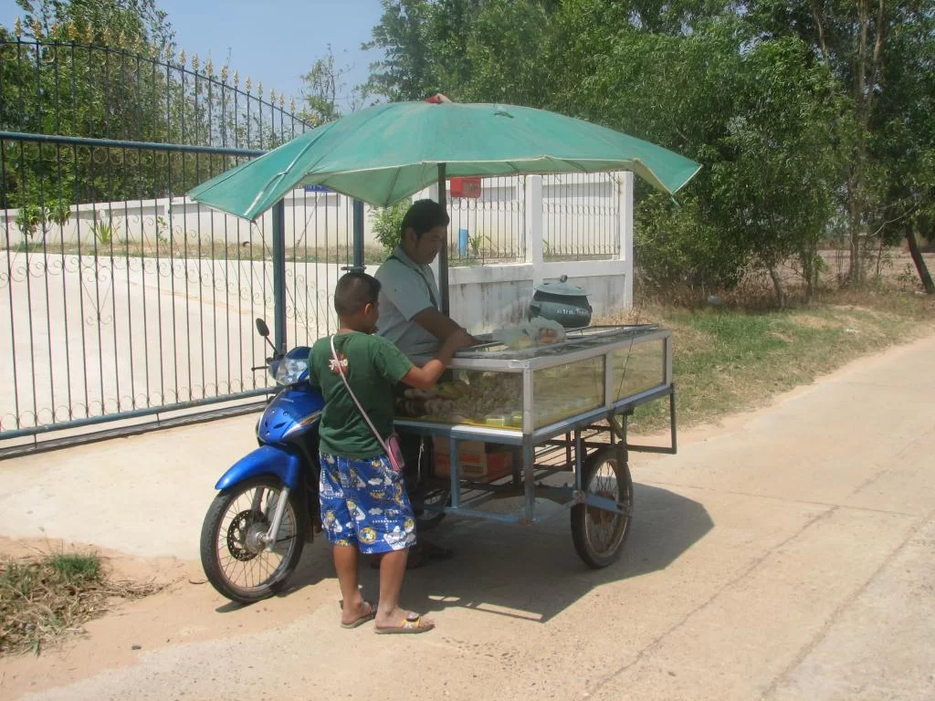 insekt, limofirma 019.webp