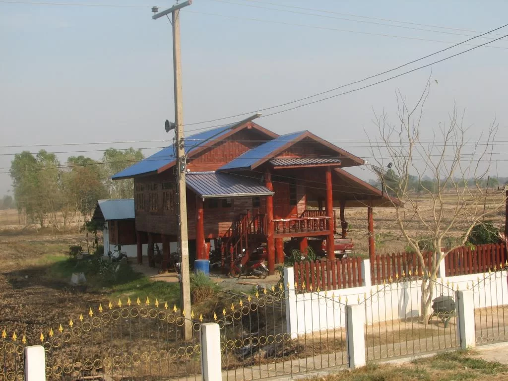 insekt, limofirma 061.webp