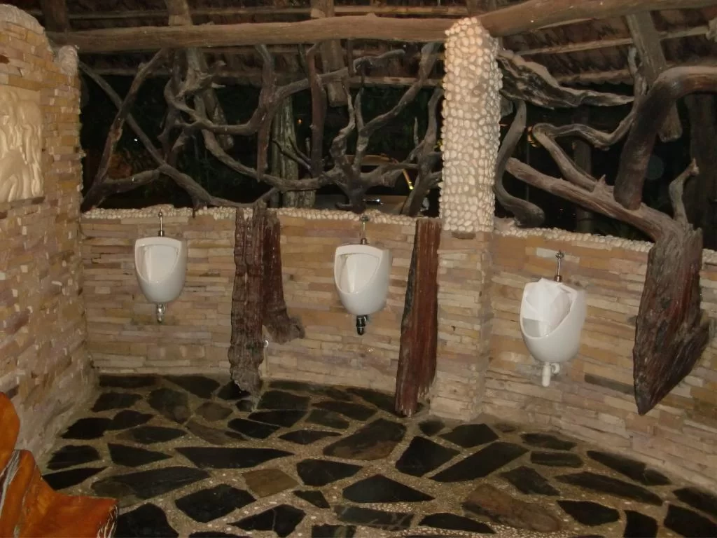 jan 2013 Jane i Chainat 102.webp