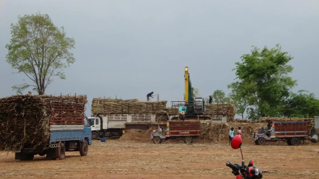 Jang Pictures 244.webp