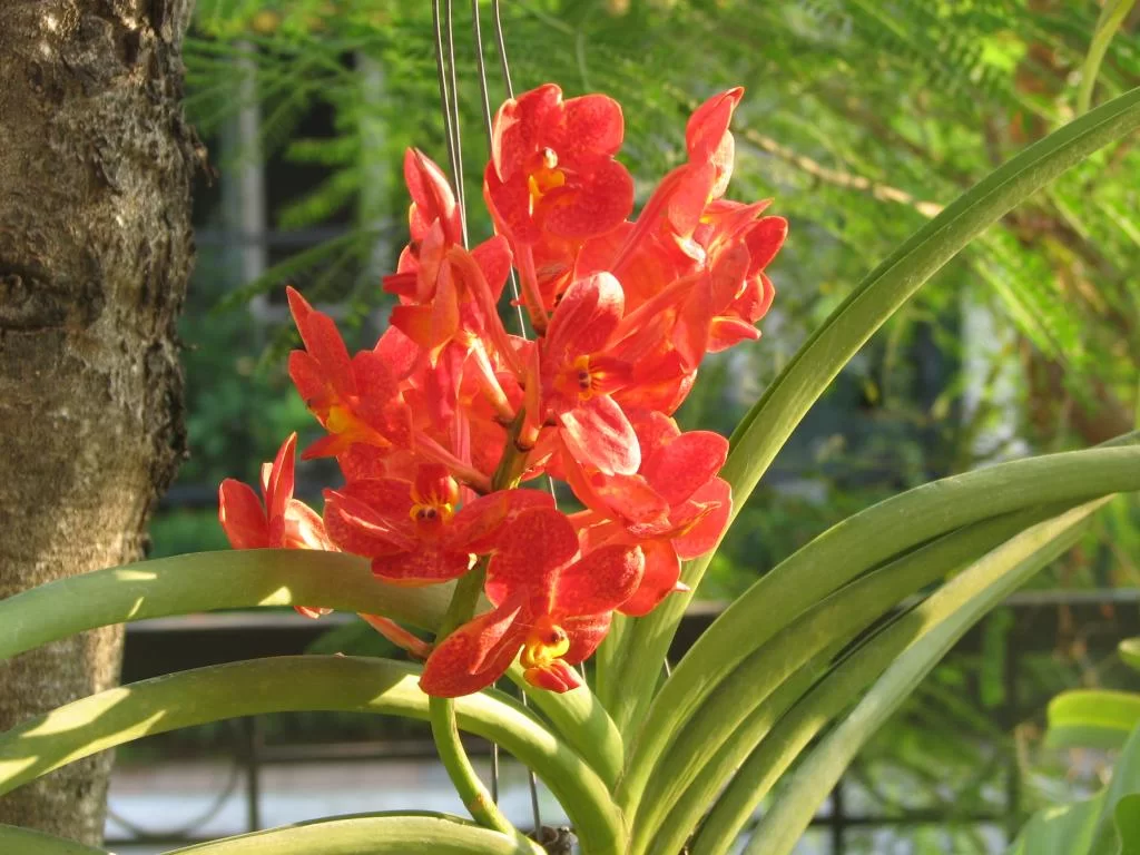 Januari 2011 Luay 018.webp