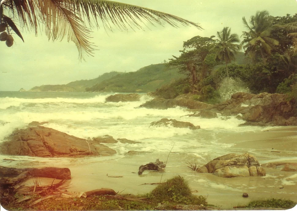 Kalim i regnperioden.webp