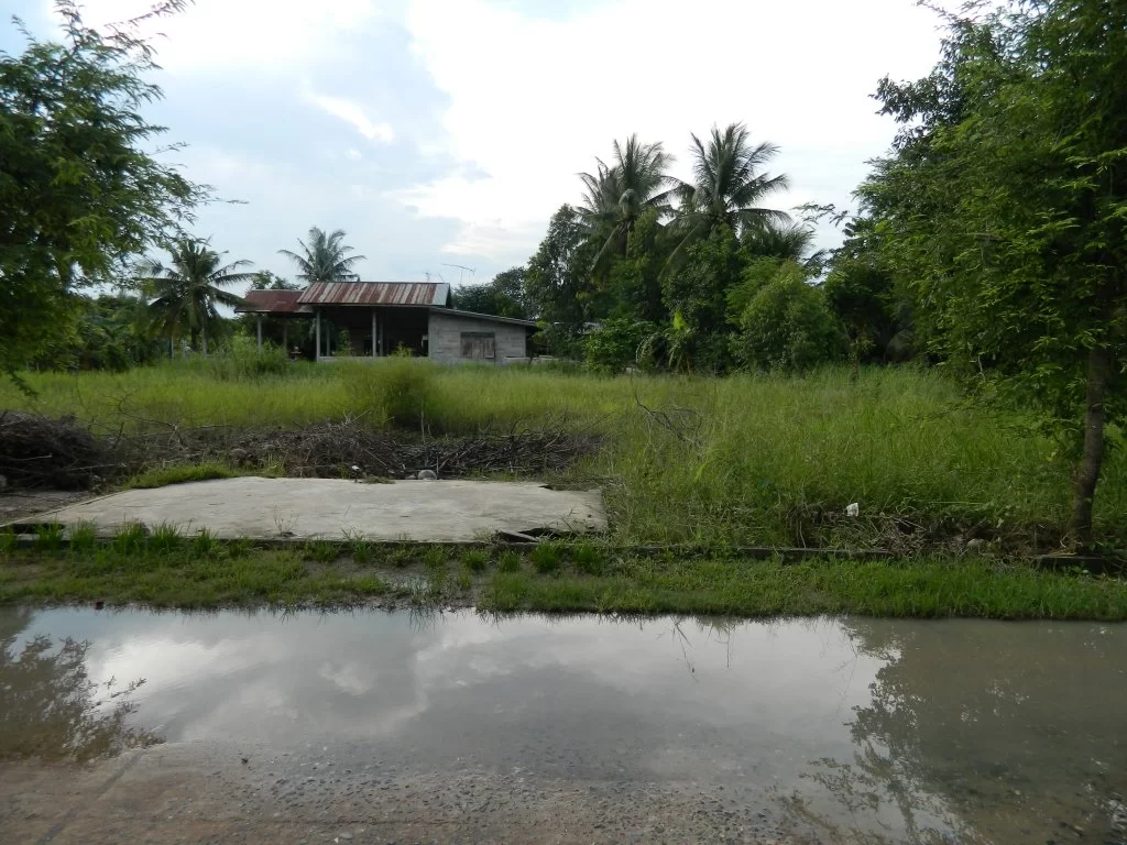 Koh Chang 2015 084.webp