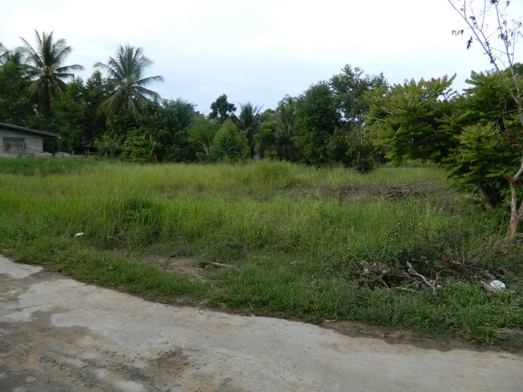 Koh Chang 2015 085.webp