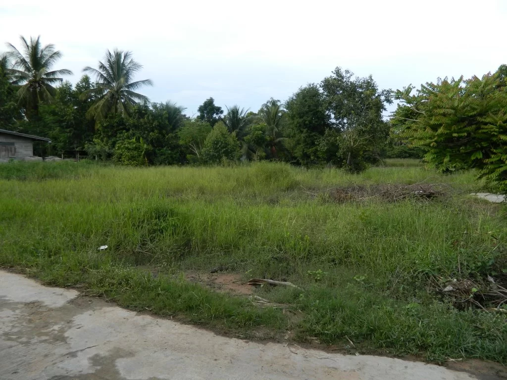 Koh Chang 2015 087.webp