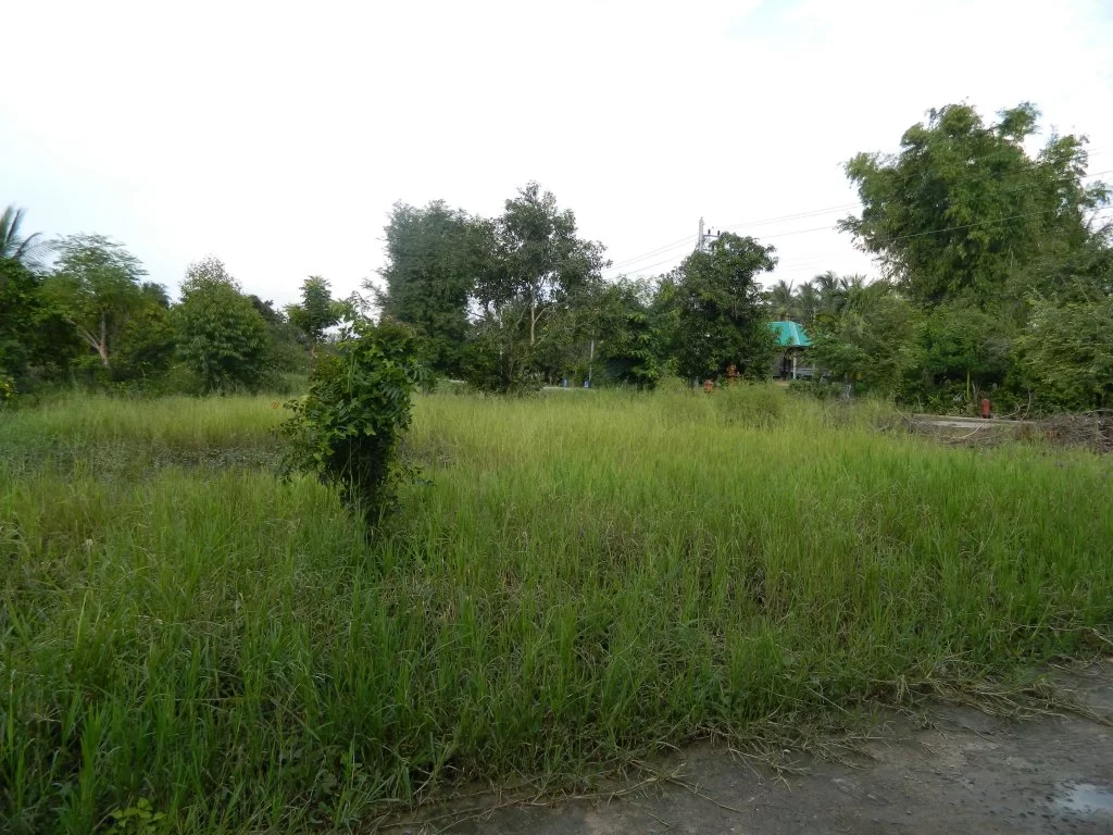 Koh Chang 2015 089.webp