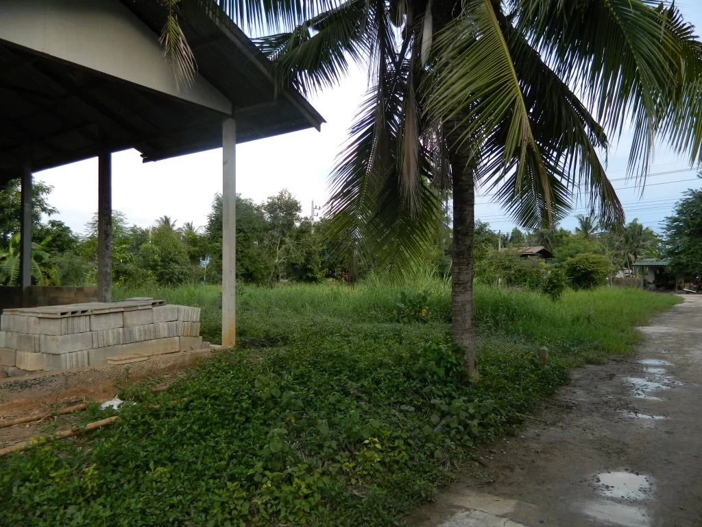 Koh Chang 2015 091.webp