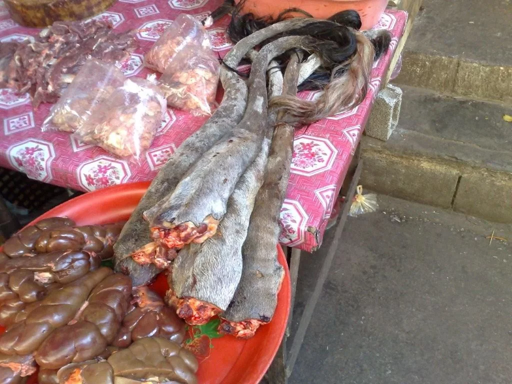 kosvans 20080304.webp