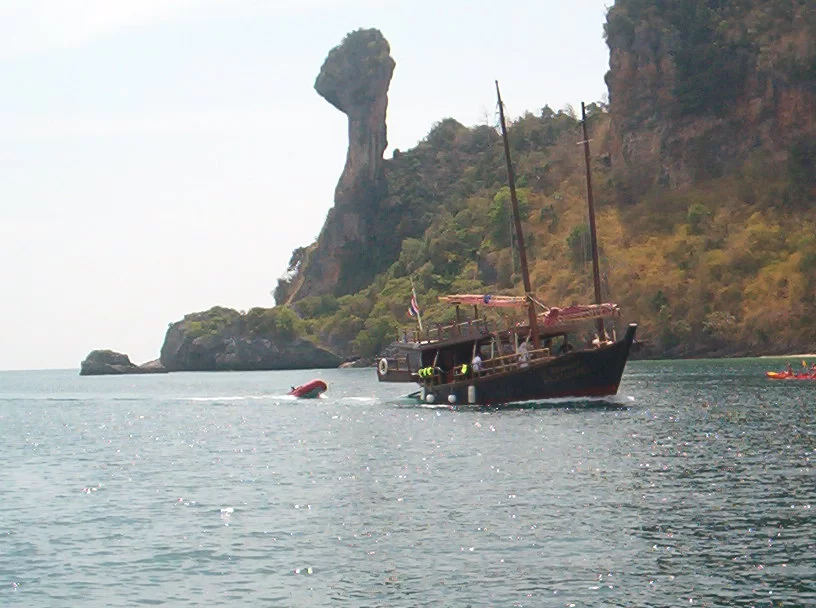 Kyckling ön nr305.webp