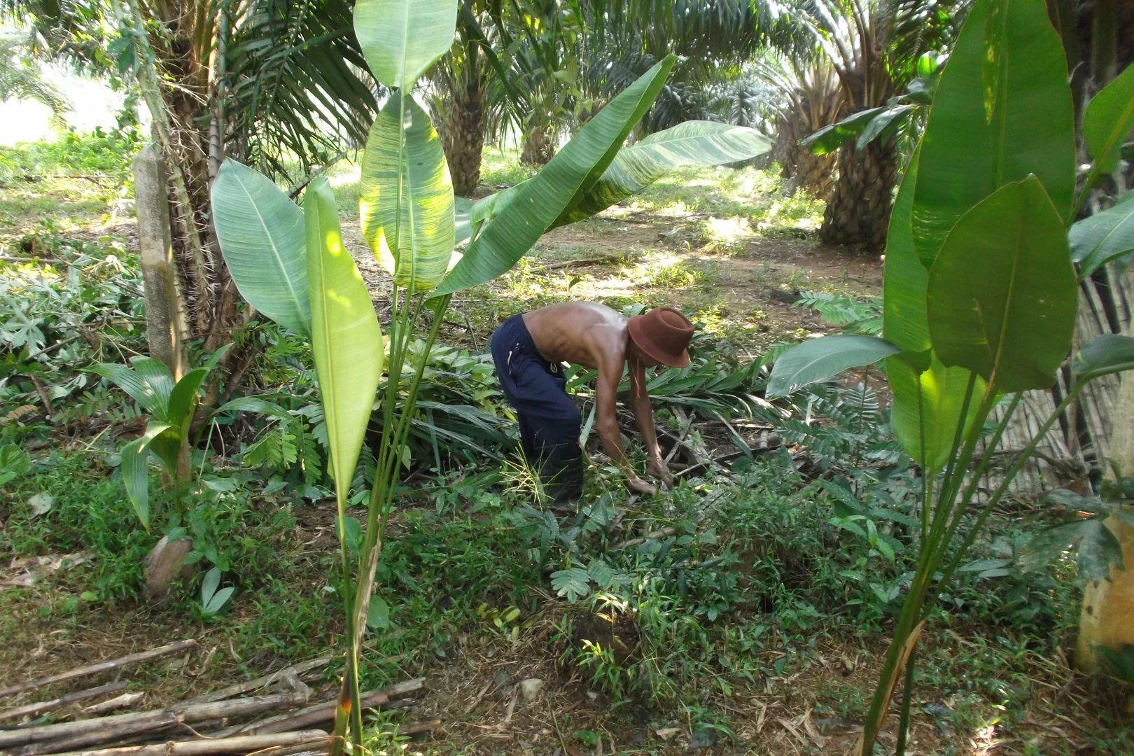 landet gardnern.webp