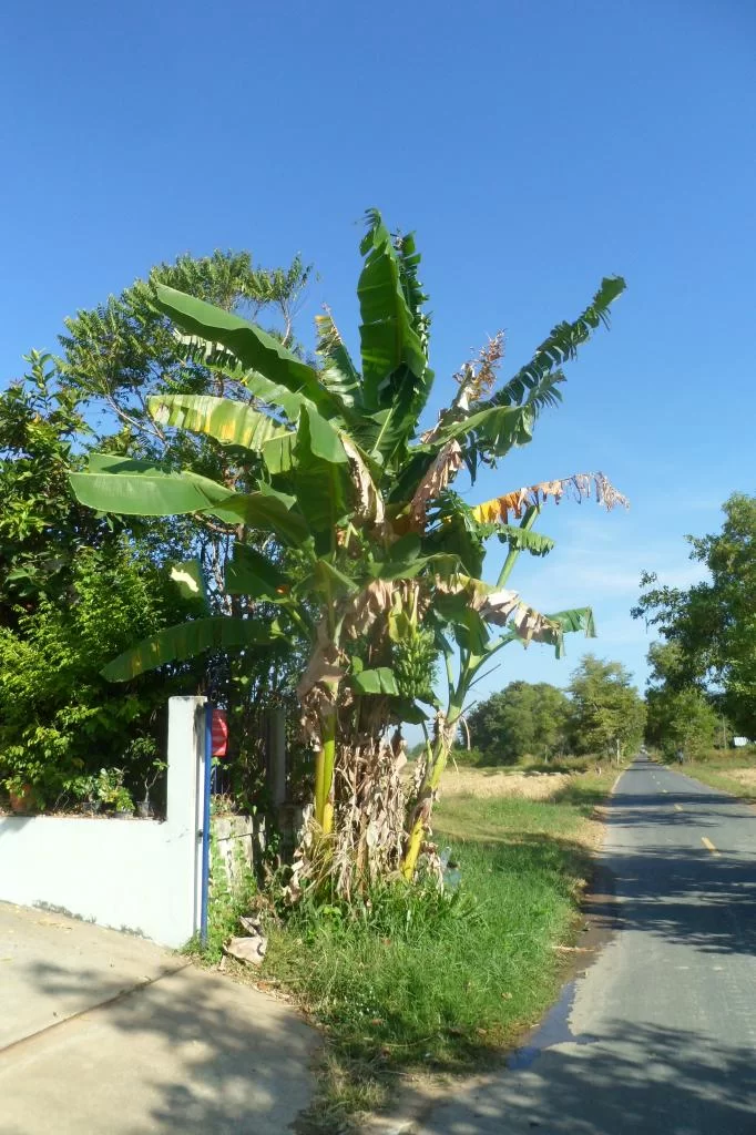 Lantbruk-skola 011.webp