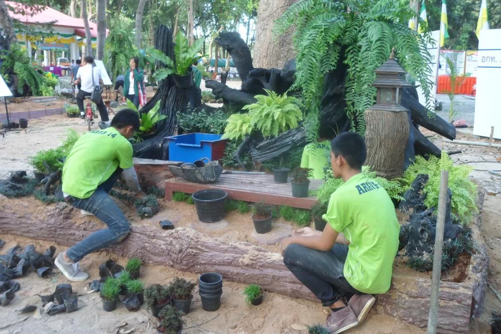 Lantbruk-skola 029.webp