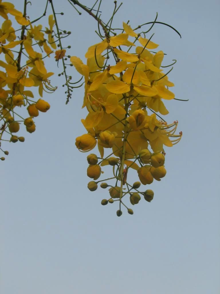 Luay 1a dagen 027.webp