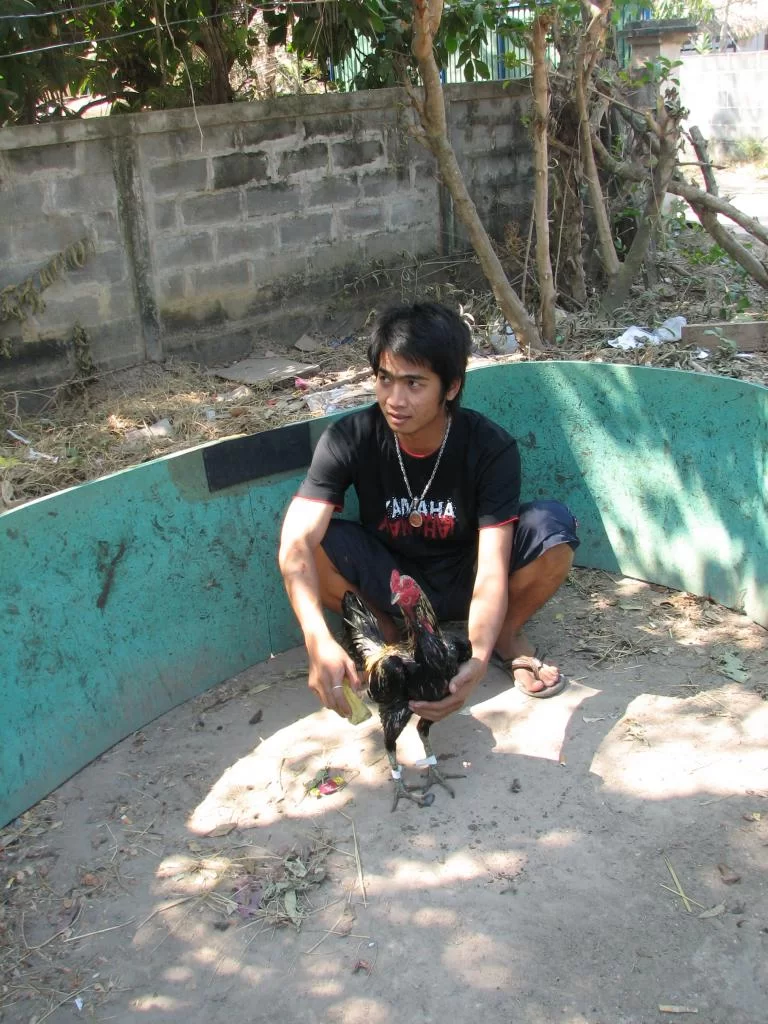 Luay 2 home 001.webp