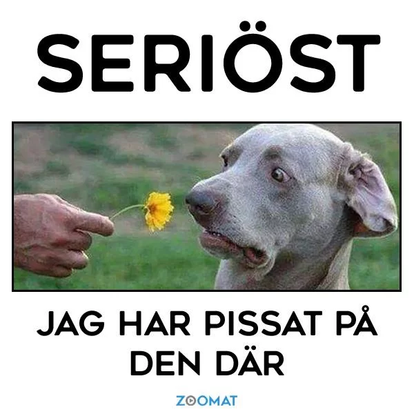 Lukta på blomman...webp