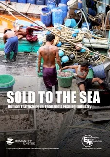 Menneskehandel-sold to the sea-ejfoundationorg-728353.webp