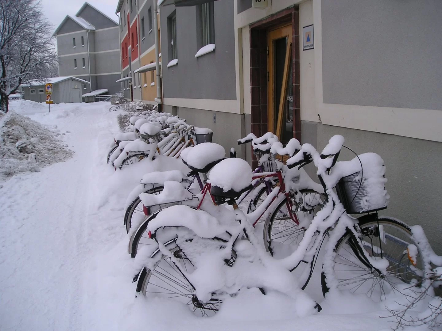 Mina Foton 11011.webp