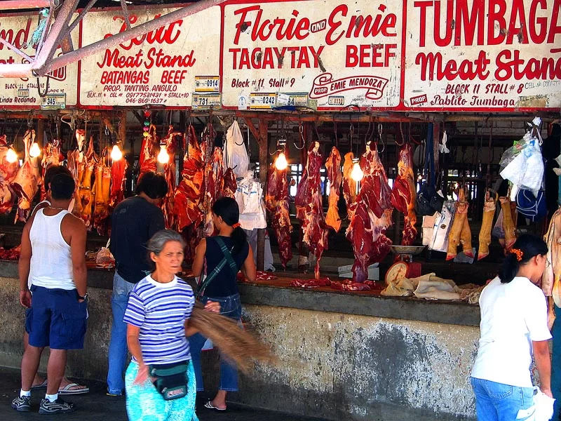 Mina Foton 17921.webp