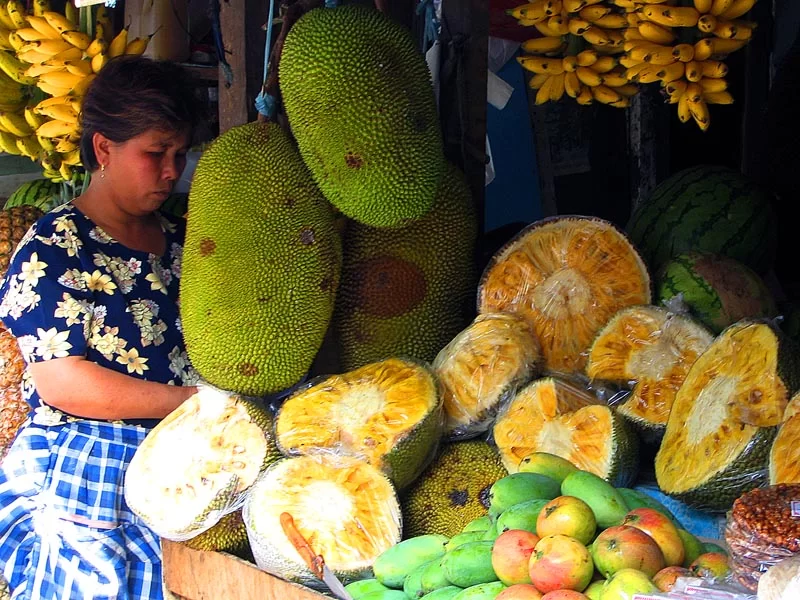 Mina Foton 17922.webp