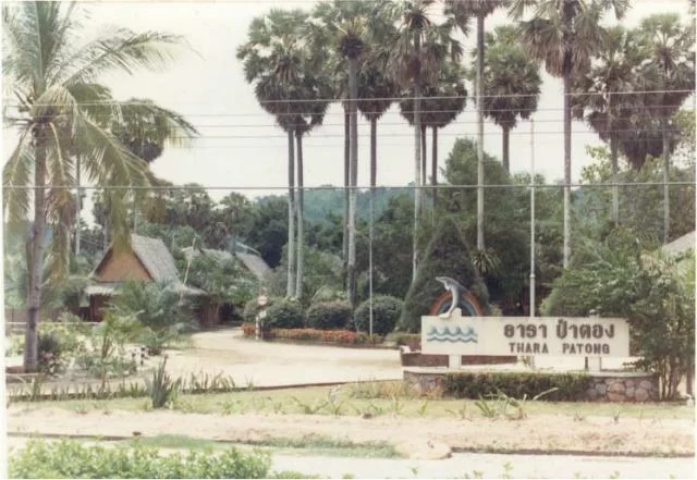 Mina Foton 18929.webp