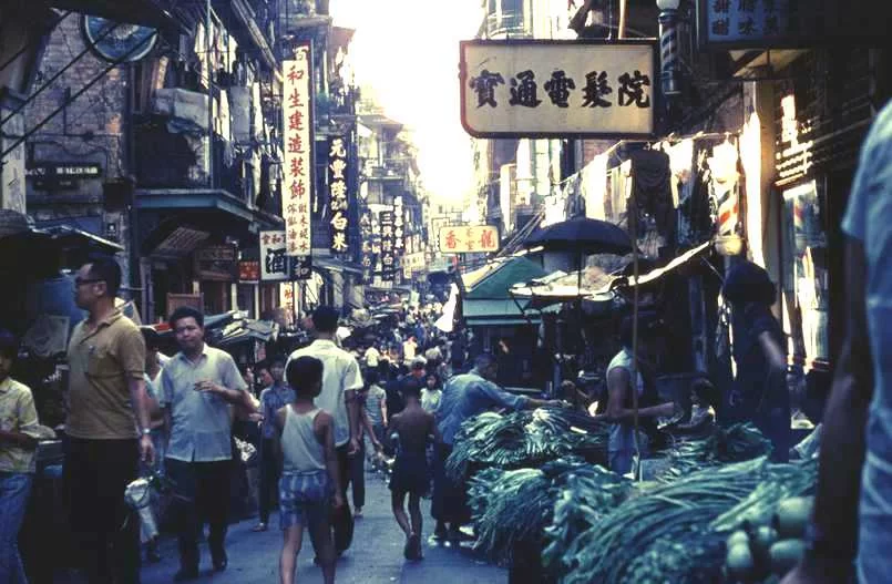 Mina Foton 20355.webp