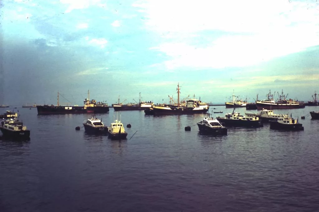 Mina Foton 20362.webp