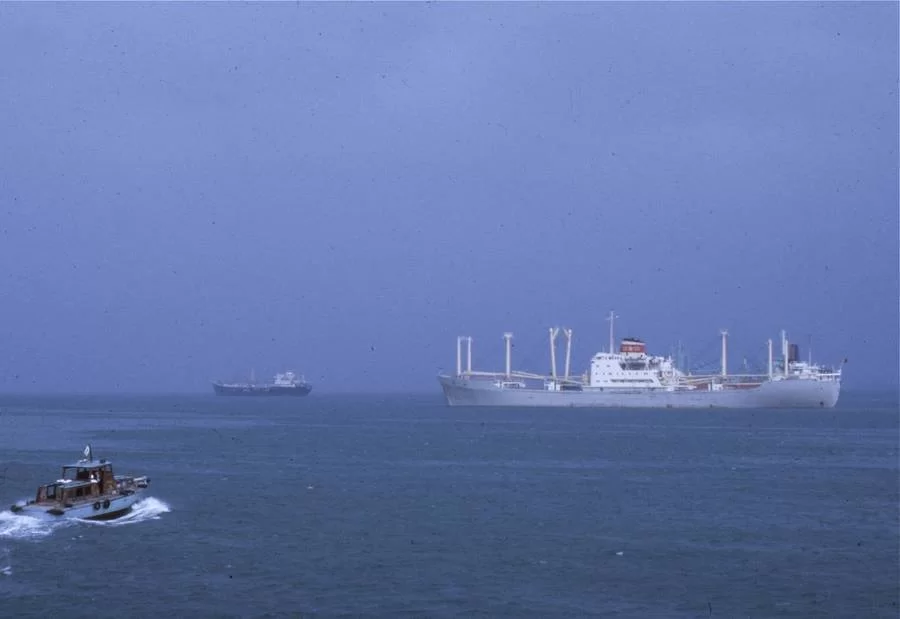 Mina Foton 20366.webp