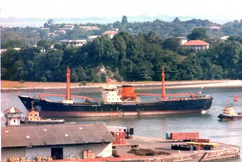 Mina Foton 20377.webp