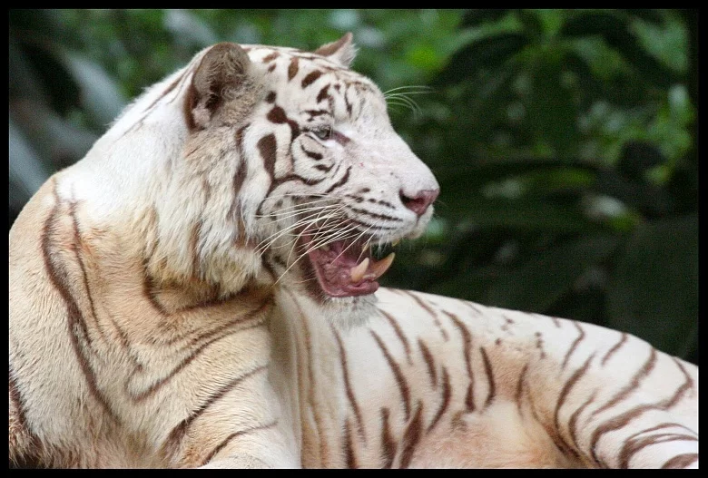 Mina Foton 20441.webp