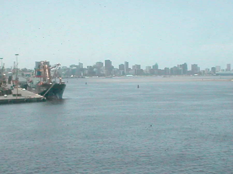 Mina Foton 20491.webp