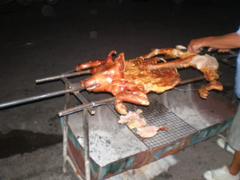 Mina Foton 22774.webp