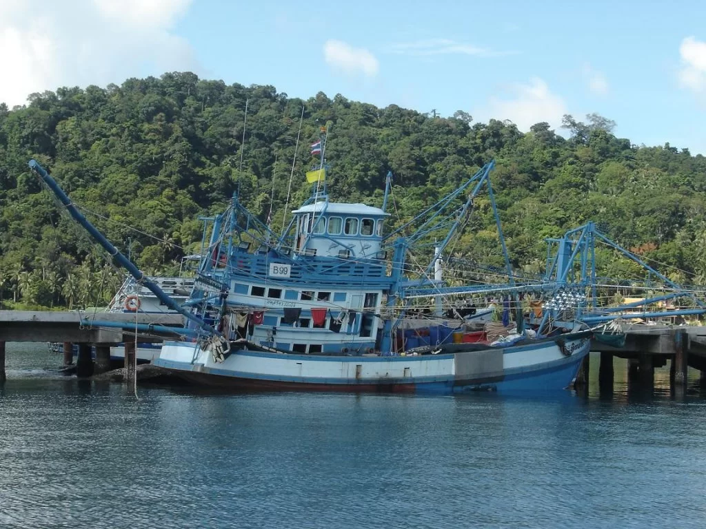 Mina Foton 22928.webp