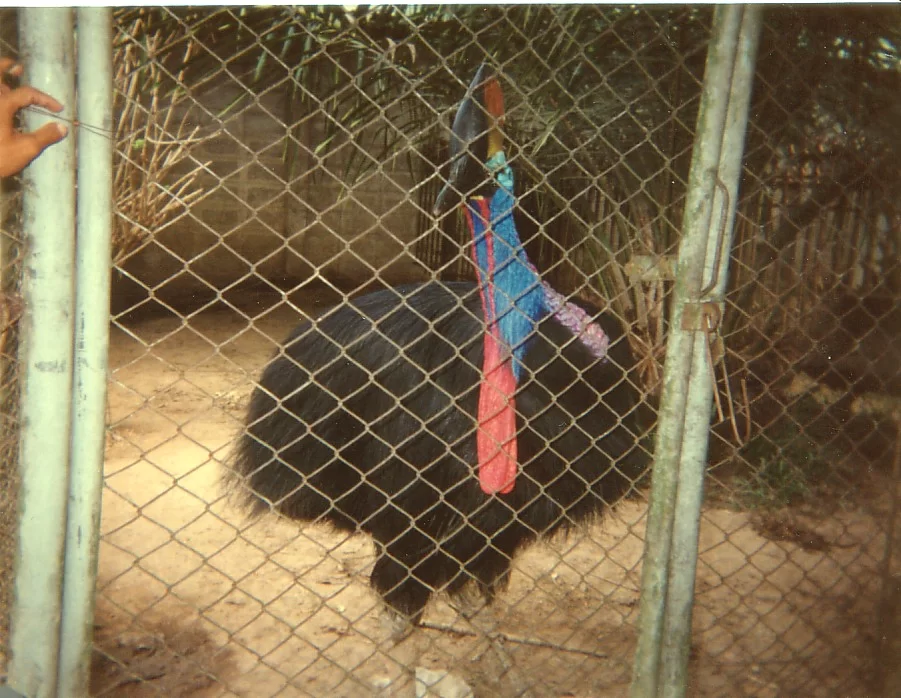 Mina Foton 23271.webp