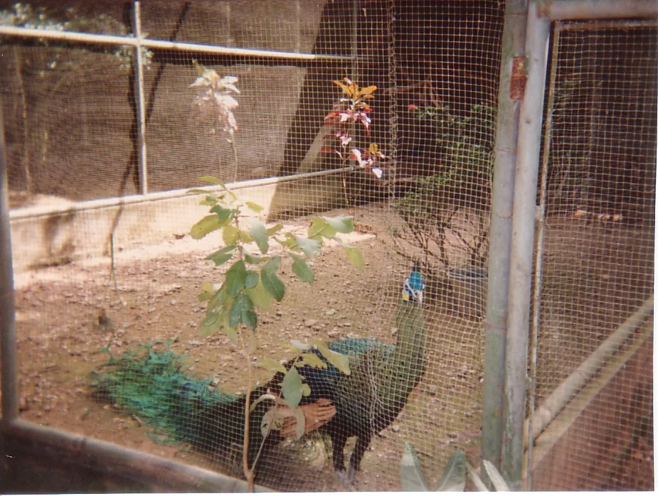 Mina Foton 23272.webp