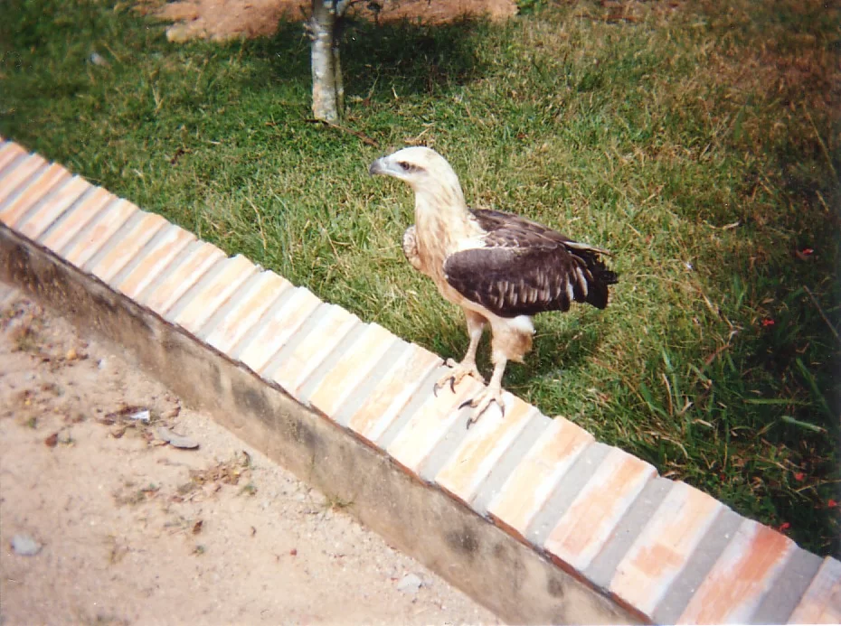 Mina Foton 23273.webp