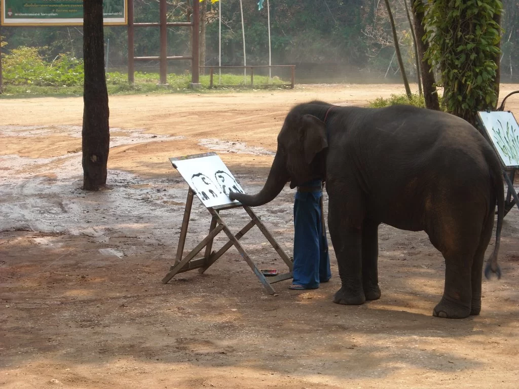 Mina Foton 23306.webp