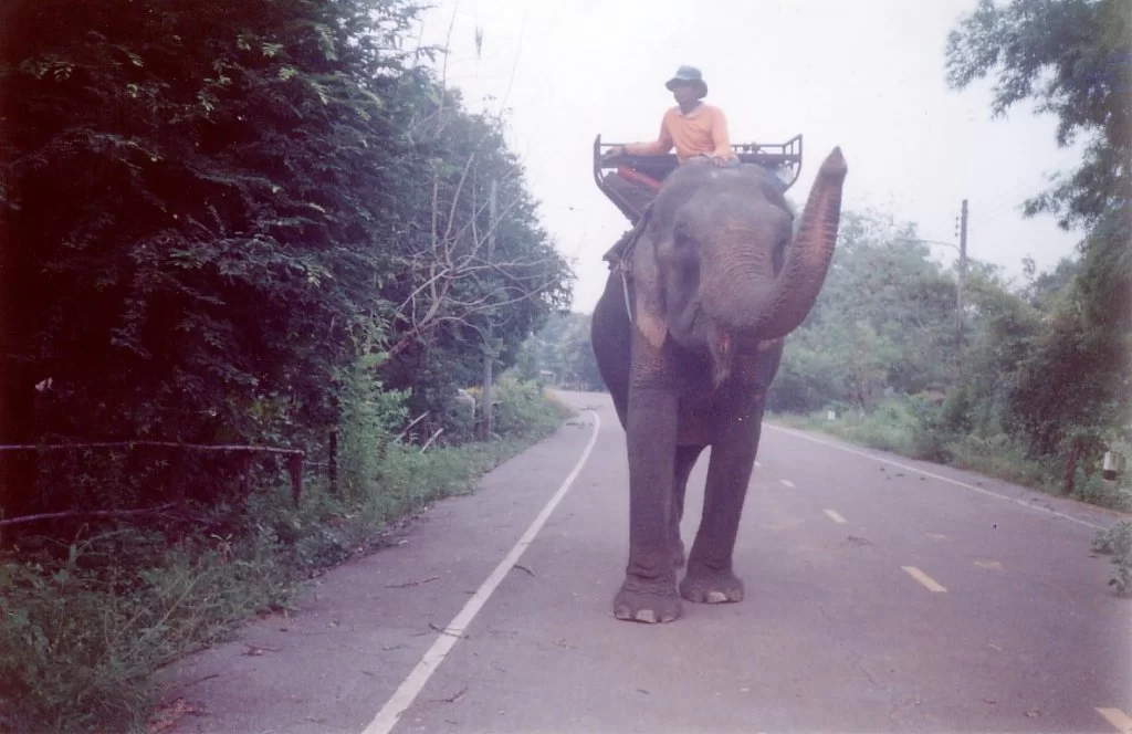 Mina Foton 23915.webp