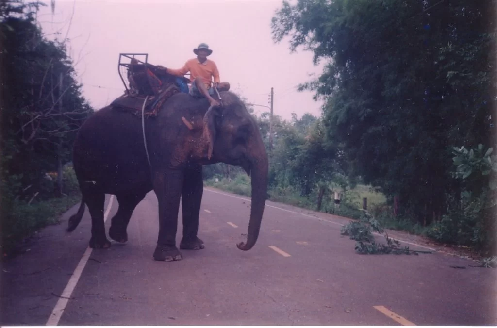 Mina Foton 23916.webp