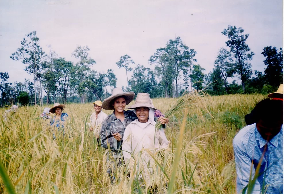 Mina Foton 23946.webp