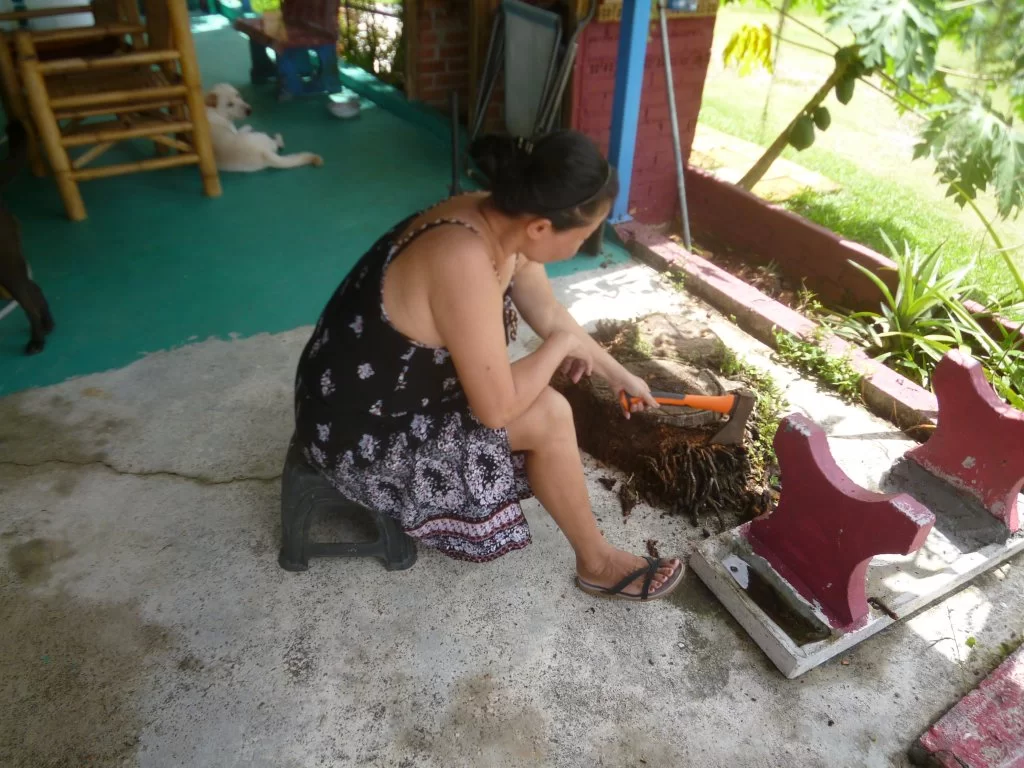 opopopopopoiu 002.webp