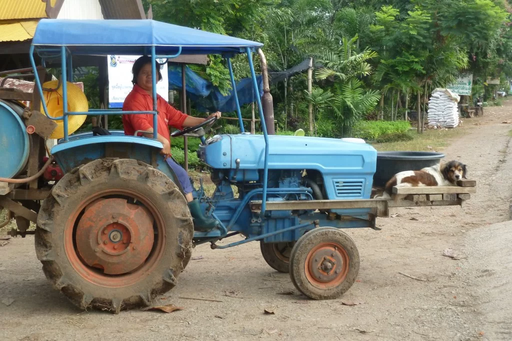 P1010857 - Kopia.webp