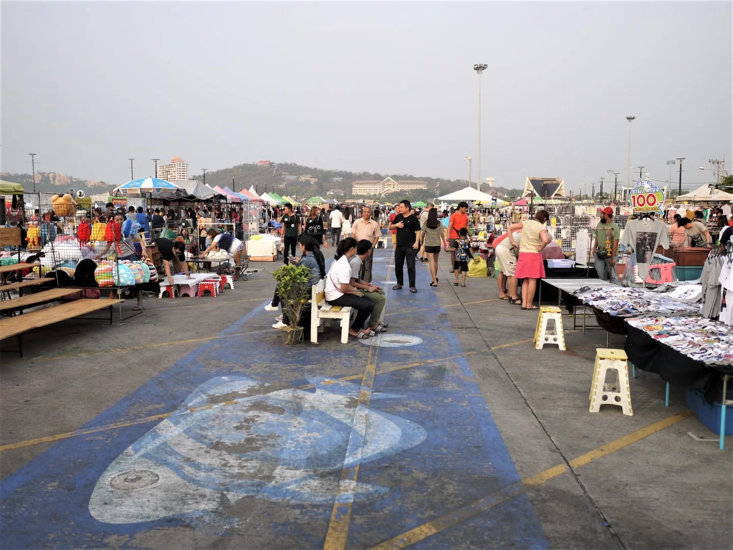 P1130546 (2) - kopia.webp