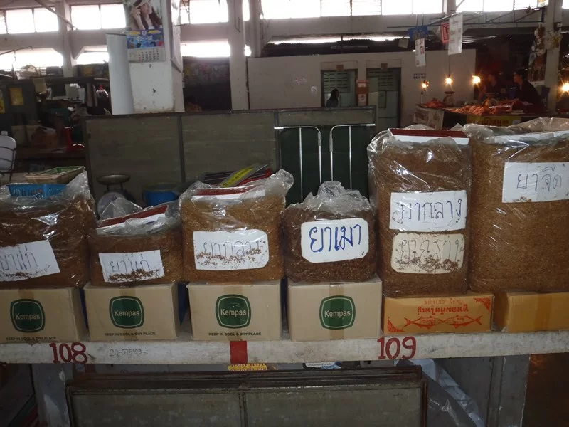 P4260044 (Kopia).webp