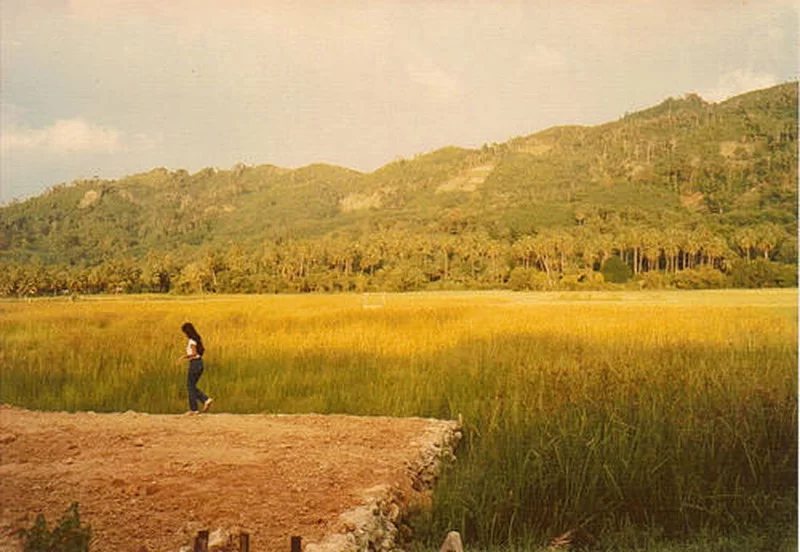 patong [800x600].webp