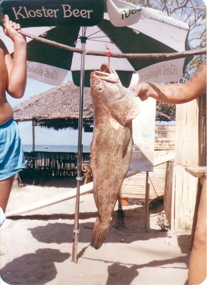 patong Thailändsak Torsk.webp