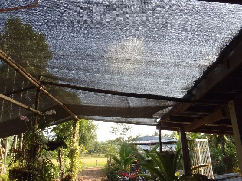 PB110002 (Kopia).webp